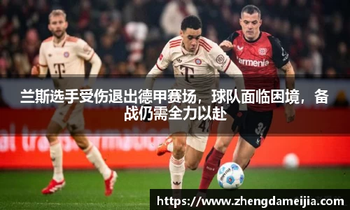 南宫NG28