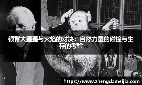 南宫28