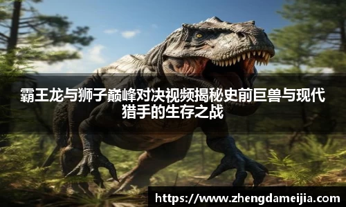 南宫28