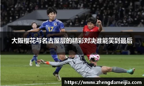 南宫NG28