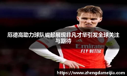 南宫NG28