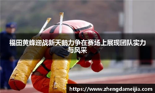 南宫NG28