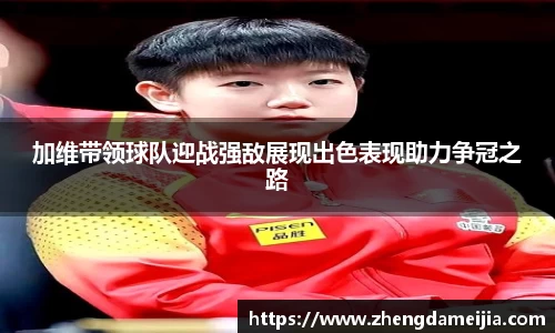 南宫NG28
