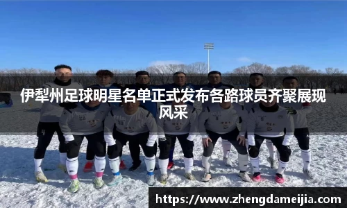 伊犁州足球明星名单正式发布各路球员齐聚展现风采