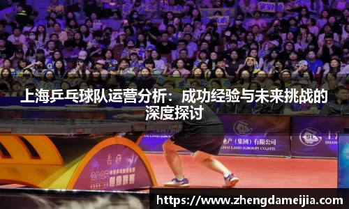 上海乒乓球队运营分析：成功经验与未来挑战的深度探讨
